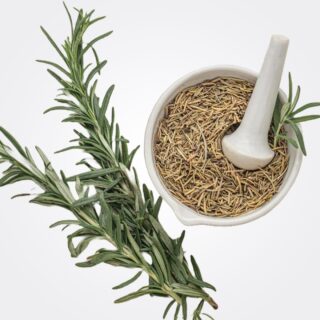 Romarin en grain